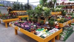 Danish Flower Trolley ,Danimarka çiçek arabası