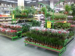 Danish Flower Trolley ,Danimarka çiçek arabası