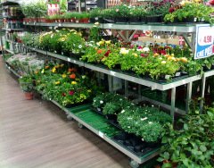 Danish Flower Trolley ,Danimarka çiçek arabası