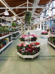 Danish Flower Trolley ,Danimarka çiçek arabası
