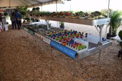 Danish Flower Trolley ,Danimarka çiçek arabası