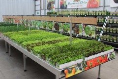Danish Flower Trolley ,Danimarka çiçek arabası