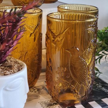 Amber Kuş Dekorlu 6lı Meşrubat Bardağı 8x14cm