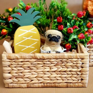 Kupa İçerisinde Mini Pug Dekor