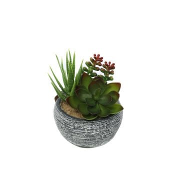 Beton Saksılı Yapay Sukkulent Küçük Boy