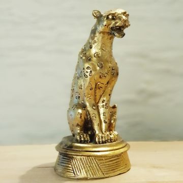 Jaguar Gold Biblo Küçük Boy