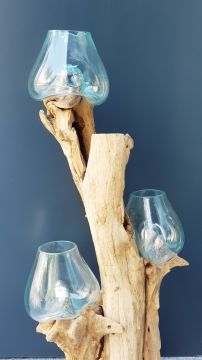 Teak Ağacı Cam Fanus