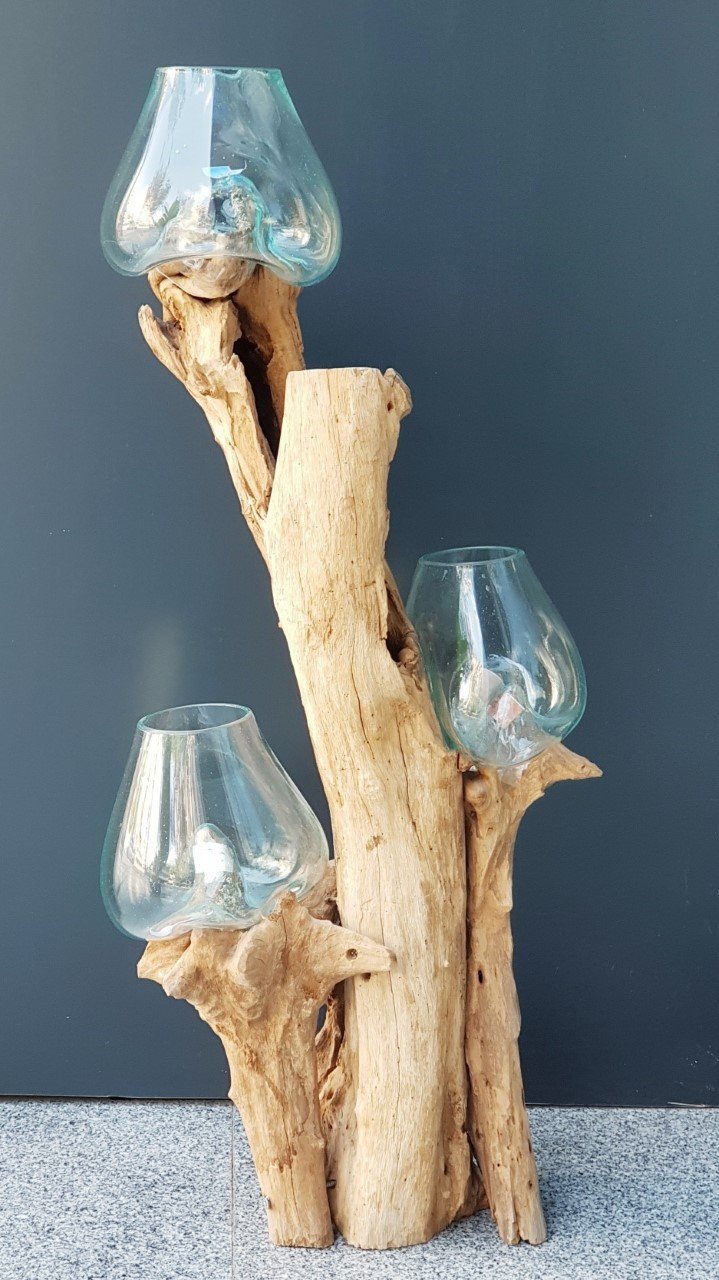 Teak Ağacı Cam Fanus