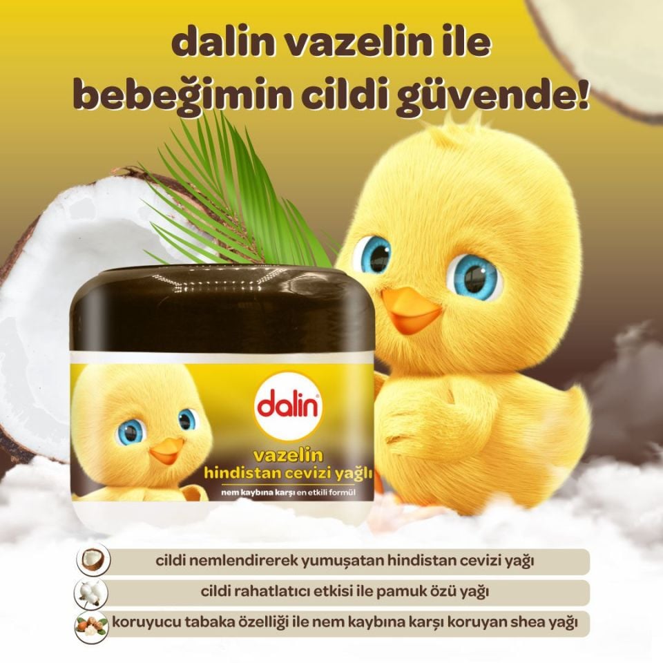 Dalin x 4 Adet Vazelin - Hindistan Cevizi Yağlı 100 ml