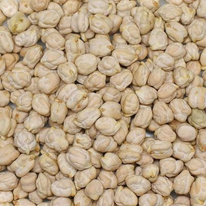 Başhan x 2 Adet Kabak Nohut ( 12 mm )