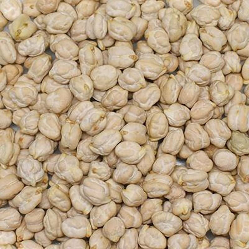 Başhan x 3 Adet Kabak Nohut ( 12 mm )