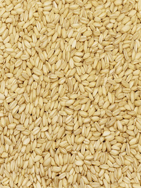 Başhan x 2 Adet Aşurelik Buğday 1000 gr