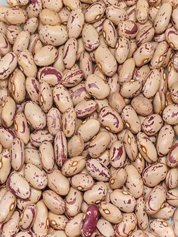 Başhan x 2 Adet Kiraz Barbunya 1000 gr