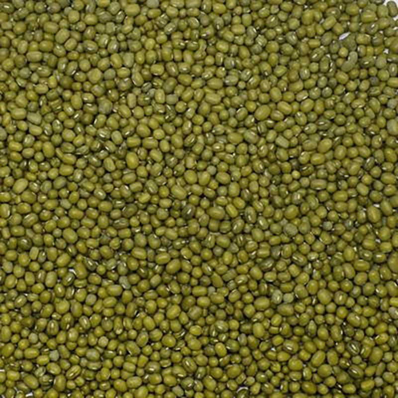 Başhan  x 2 Adet Maş Fasulye 500 gr