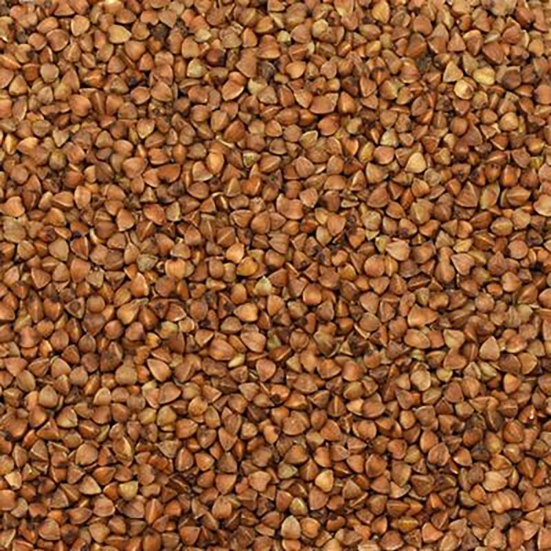 Başhan x 4 Adet Kara Buğday 500 gr ( Greçka )