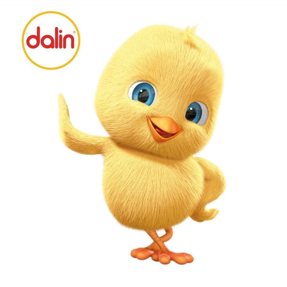 Dalin x 2 Adet Klasik Şampuan 900 ml