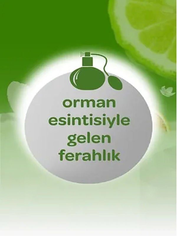 Dalin x 2 Adet Orman Esintisi Bebek Kolonyası 150 ml