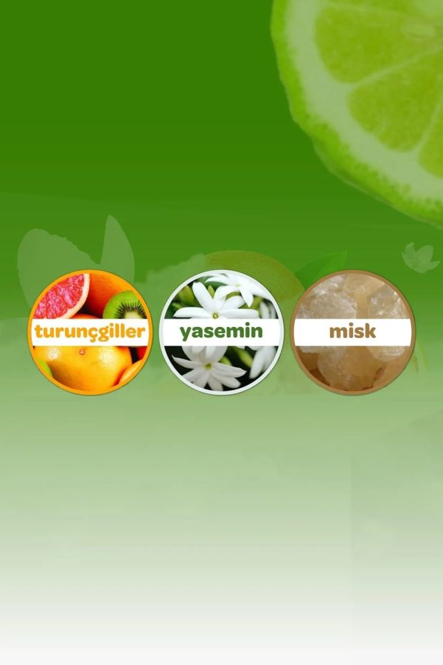 Dalin x 2 Adet Orman Esintisi Bebek Kolonyası 150 ml