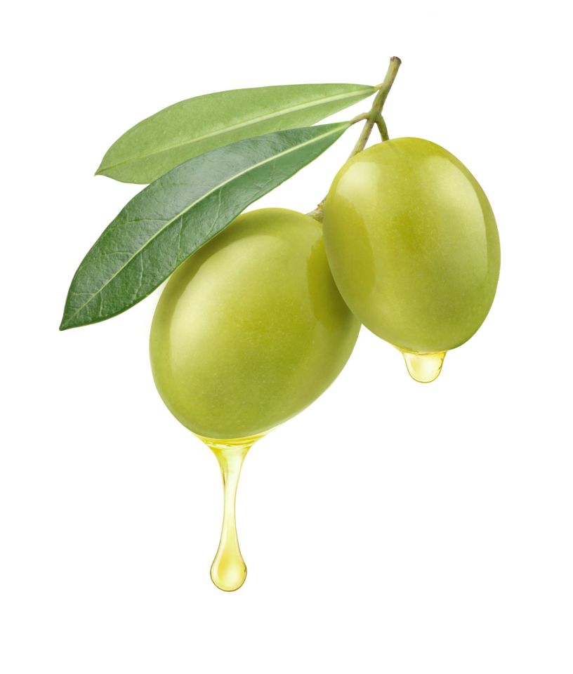 Fresheld x 1 Galon Şişe Erken Hasat Natürel Sızma Zeytinyağı 1000 cc - 1 Galon Şişe Naturel Sızma Zeytinyağı 1000 cc