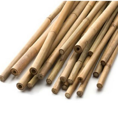 Bambu Fidan Dikim Destek Çubuğu 140-160 cm (10 adet)
