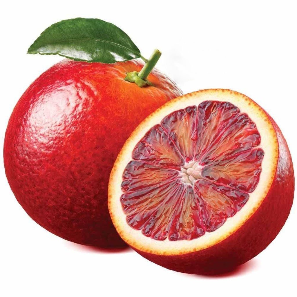İçi Dışı Kırmızı Blood Orange Portakal Fidanı (Sınırlı Stok)