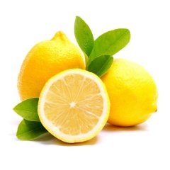 Tüplü Aşılı Özel Ürün Bol Verimli Aydın Limon Fidanı