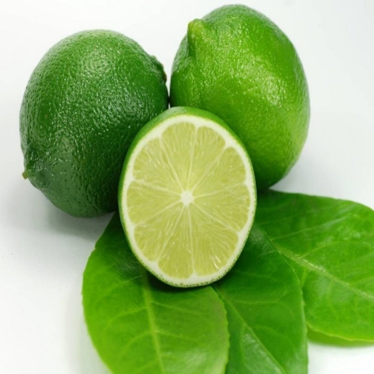 Tüplü Aşılı Verimli Bol Sulu Yeşil Meksika Lime Fidanı