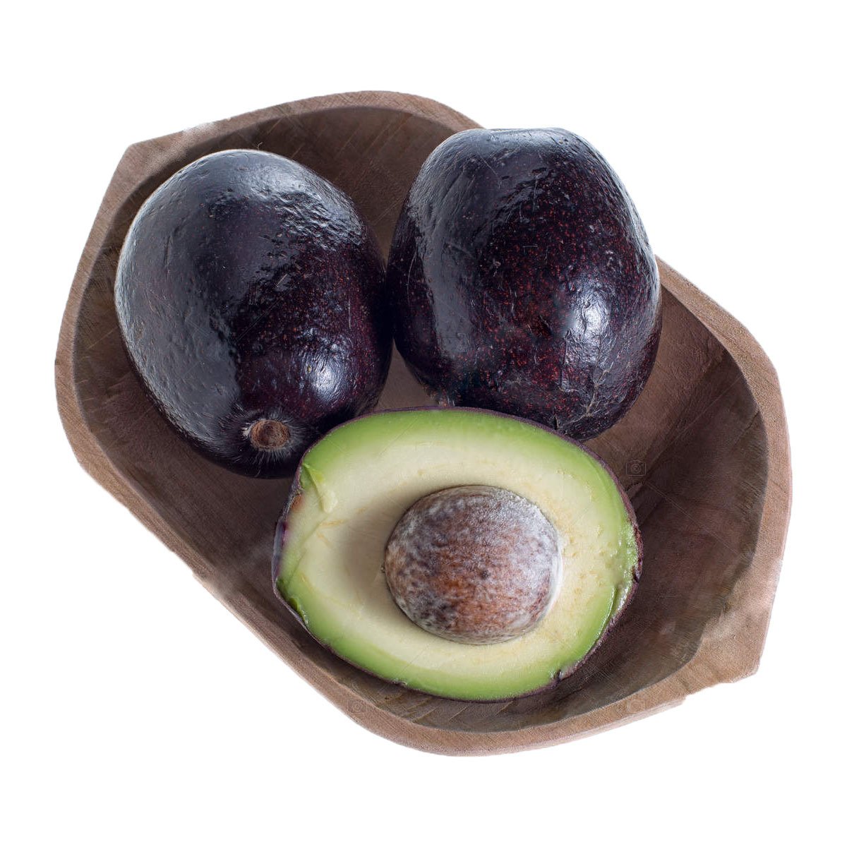 Tüplü Aşılı Özel Ürün Has Black Avokado Fidanı
