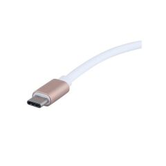 4448 Usb 3.1 Type C To Displayport Çevirici Dönüştürücü Adaptör