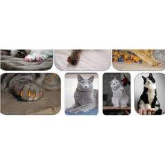 Yapıştırma Kedi Tırnağı Tırnağı Kırmızı - S