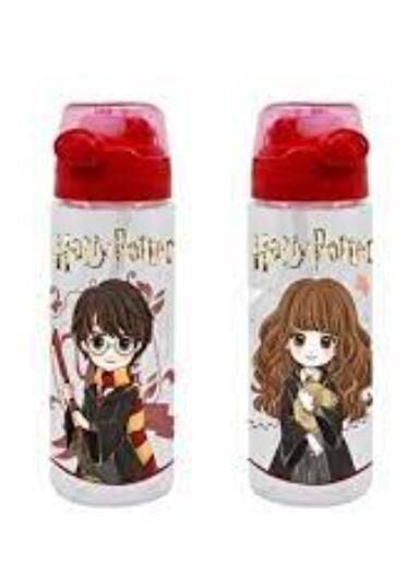 HARRY POTTER MATARA 700 ML.12 Lİ 2272