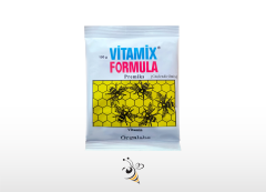 Vitamix Formula