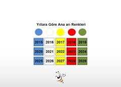 Ana Arı İşaretleme Kalemi - Yeşil