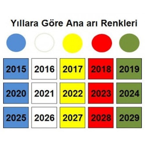 Ana Arı İşaretleme Kalemi - 5'li Set