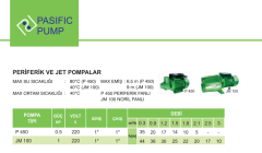 Atlantis JCP 100 1Hp 220v Döküm Gövdeli Jet Pompa