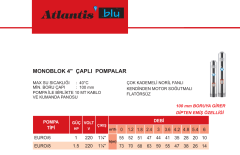 Atlantis 4SNM 4/8 1.5hp 220v 1 1/4\'\' Çıkışlı 10mt Kablolu + Pano Monoblok Sondaj Dalgıç Pompa