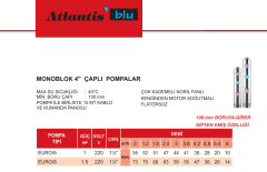 Atlantis 4SNM 4/8 1.5hp 220v 1 1/4'' Çıkışlı 10mt Kablolu + Pano Monoblok Sondaj Dalgıç Pompa