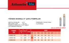 Atlantis 4SKM 200 2hp 220v 1'' Çıkışlı 12mt Kablolu + Pano Monoblok Sondaj Dalgıç Pompa