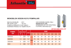 Atlantis SCm6A 1.5hp 220v 1 1/4\'\' Çıkışlı 10mt Kablolu + Pano Keson Kuyu Dalgıç Pompa