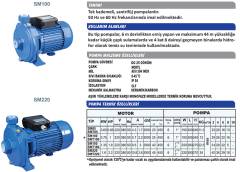 Sumak Smt 85 0.85Hp 380v 1\'\' Çıkışlı Santrifüj Pompa