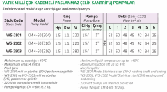 Water Sound Cm 4-60 1.5hp 380v AISI 316 Yatık Milli Çok Kademeli Paslanmaz Pompa