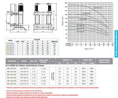 Etna 2 KO 15/8-55 7.5hp 380v İki Pompalı Çok Kademeli Paket Hidrofor
