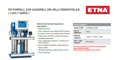 Etna 2 KO 7/10-30 4hp 380v İki Pompalı Çok Kademeli Paket Hidrofor