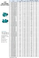 Leo XST40-125/15    2Hp 380V   Döküm Gövdeli Monoblok Endüstriyel Santrifüj Pompa