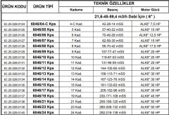 Alarko  6046/06 Kps  12.5Hp  6'' Paslanmaz Derin Kuyu Dalgıç Pompa (Motor+Pompa) ALK-KPS Serisi