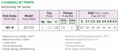 Water Sound JDP750B 2hp 220v Çift Kademeli Döküm Gövdeli Jet Pompa