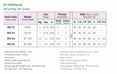Water Sound JET M/80 1hp 220v Döküm Gövdeli Jet Pompa