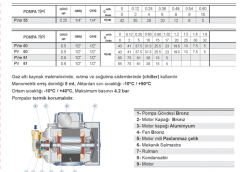 Pedrollo PV  81 0.5hp 380v Preferik Santrifüj Pompa