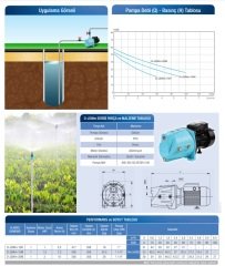 ALARKO JET D-JSWM-10H 1\'\' Çıkışlı 1Hp 220v Döküm Gövdeli Kendinden Emişli Jet Pompa