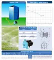 Alarko CPM 200/2    2Hp 220V   Domestik Kullanım İçin Monoblok Santrifüj Pompa